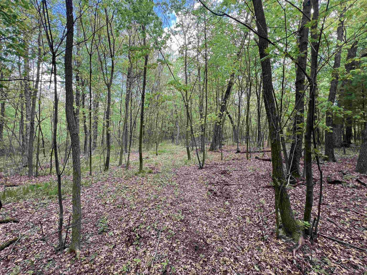 Oxford, WI 53952,17.75 Acres County Road G