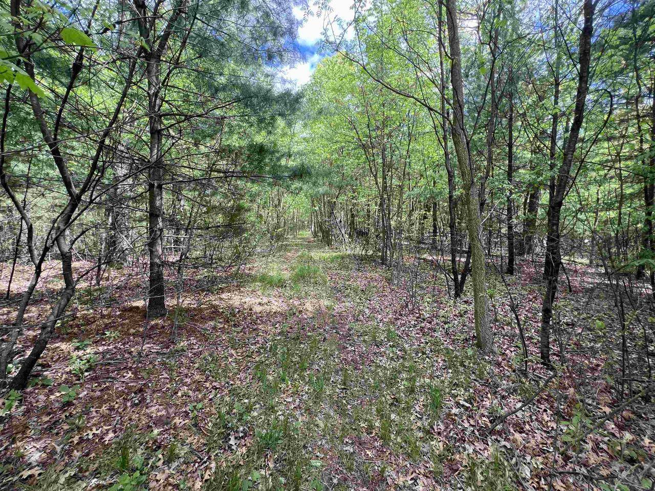 Oxford, WI 53952,17.75 Acres County Road G