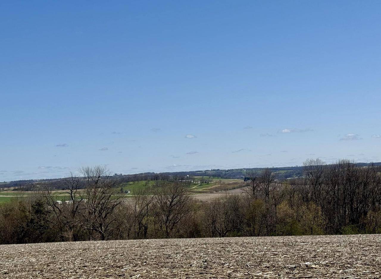 Blanchardville, WI 53516,50 ac 3065 W Olson Street