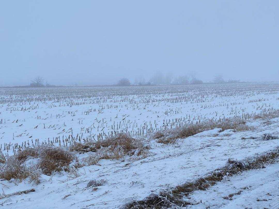 Marshfield, WI 54449,Lot 5 MARSHFIELD ROAD