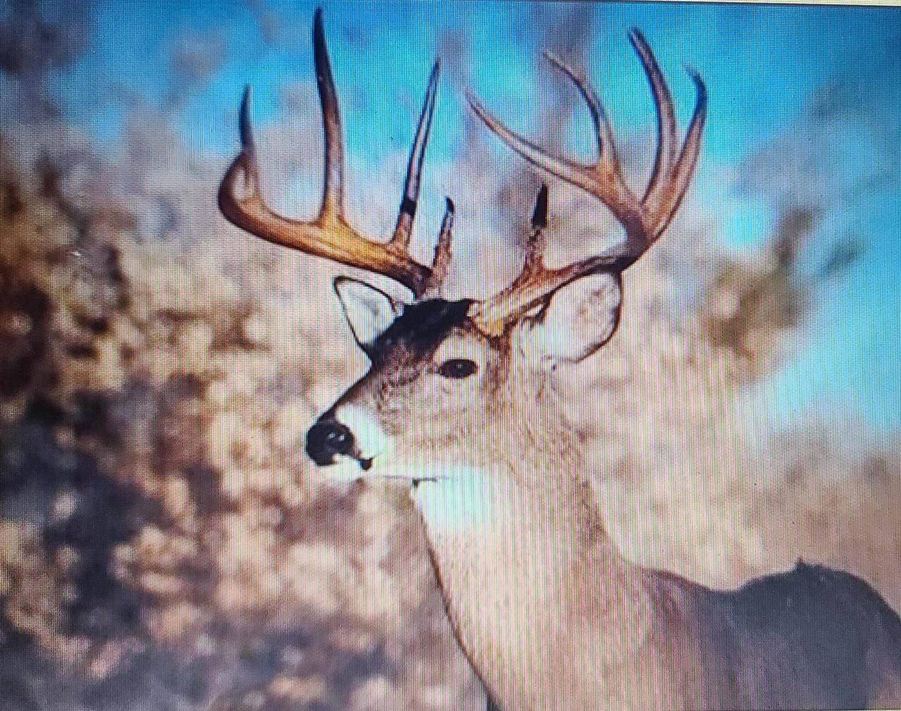 Rosholt, WI 54473,80 ACRES COUNTY ROAD I