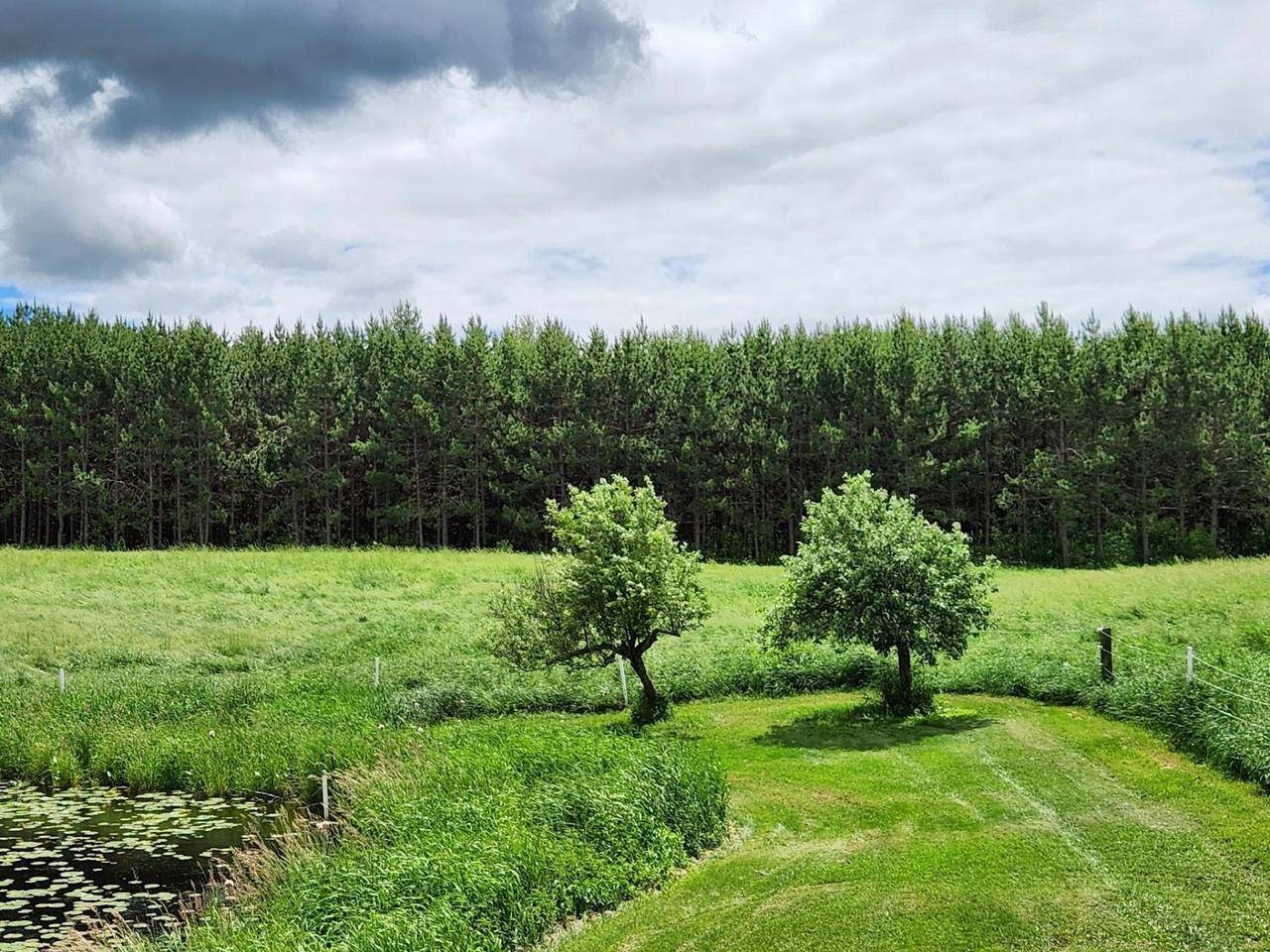 Sheldon, WI 54766,W6769 COUNTY ROAD D