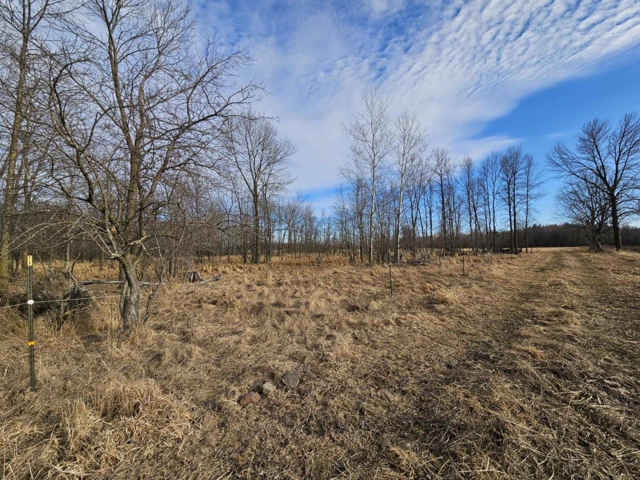 Marshfield, WI 54449,20 Acre Lot KLONDIKE DRIVE