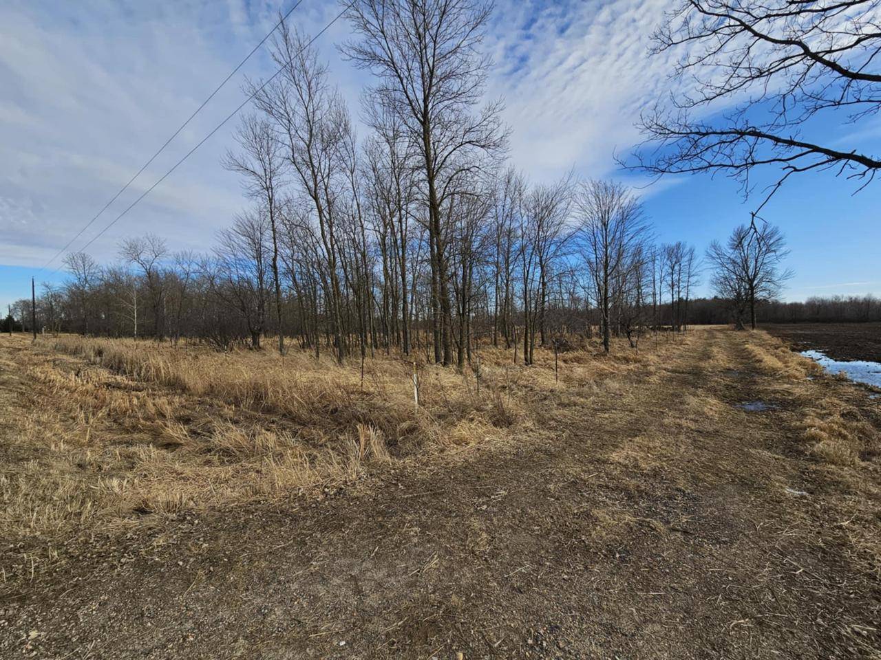 Marshfield, WI 54449,20 Acre Lot KLONDIKE DRIVE