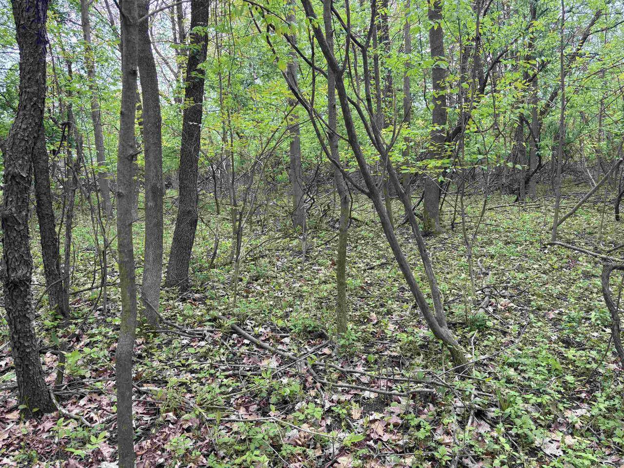 Mosinee, WI 54455,.85 acres LORREL STREET
