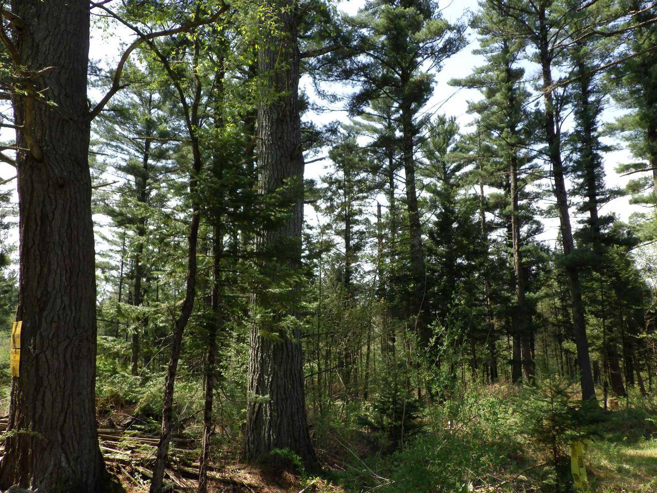 Wausau, WI 54403,BEHNKE ROAD