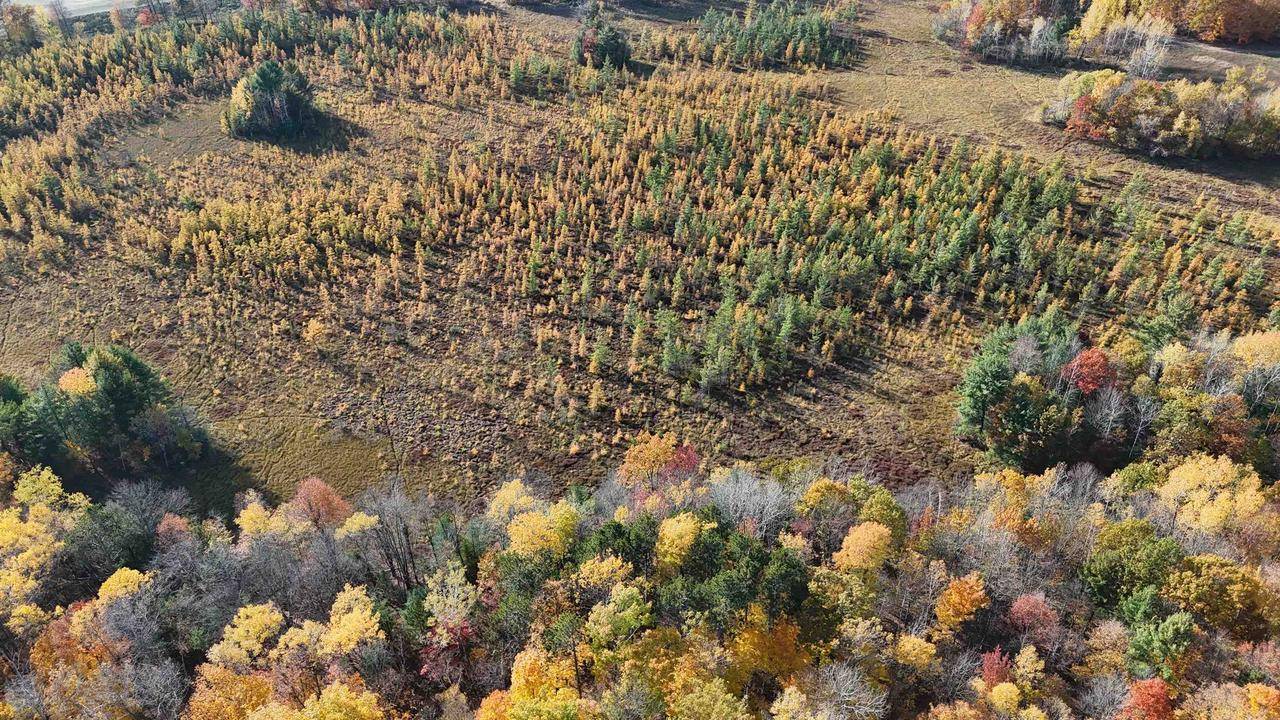 Wittenberg, WI 54499,MOUNTAIN VALLEY DRIVE