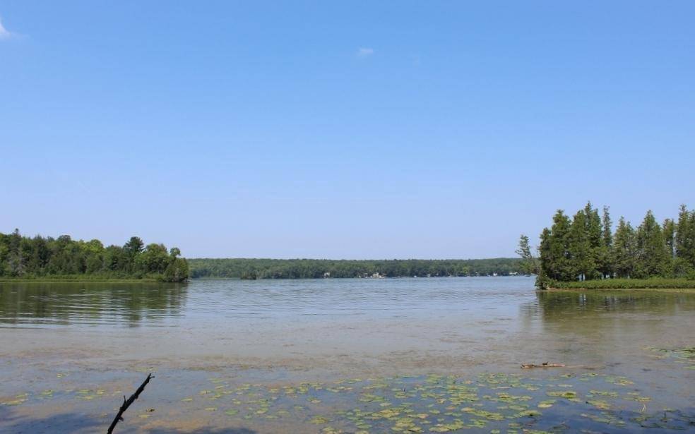 Pickerel, WI 54465,FOREST LANE