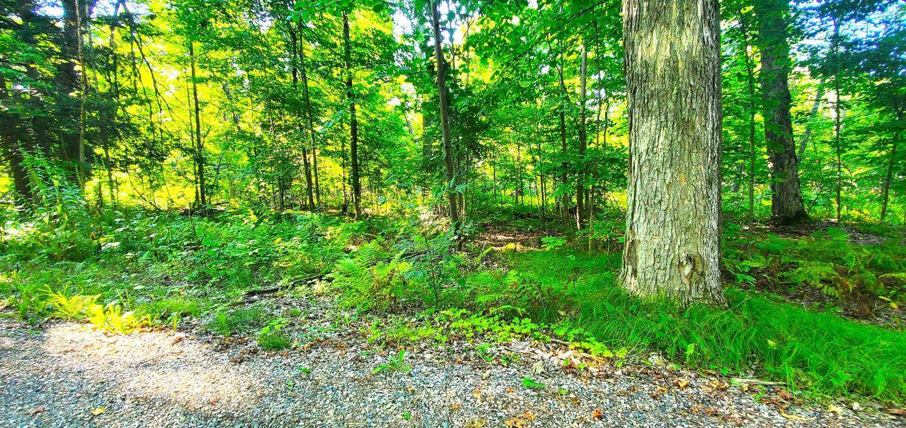 Pickerel, WI 54465,LAKE VIEW DRIVE