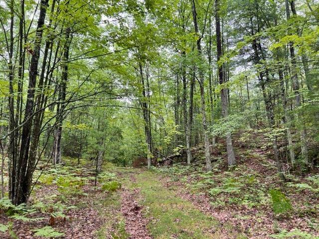 Pembine, WI 54156,COUNTY RD OO