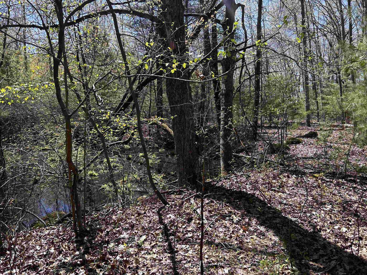 Marinette, WI 54143,LEAF ROAD
