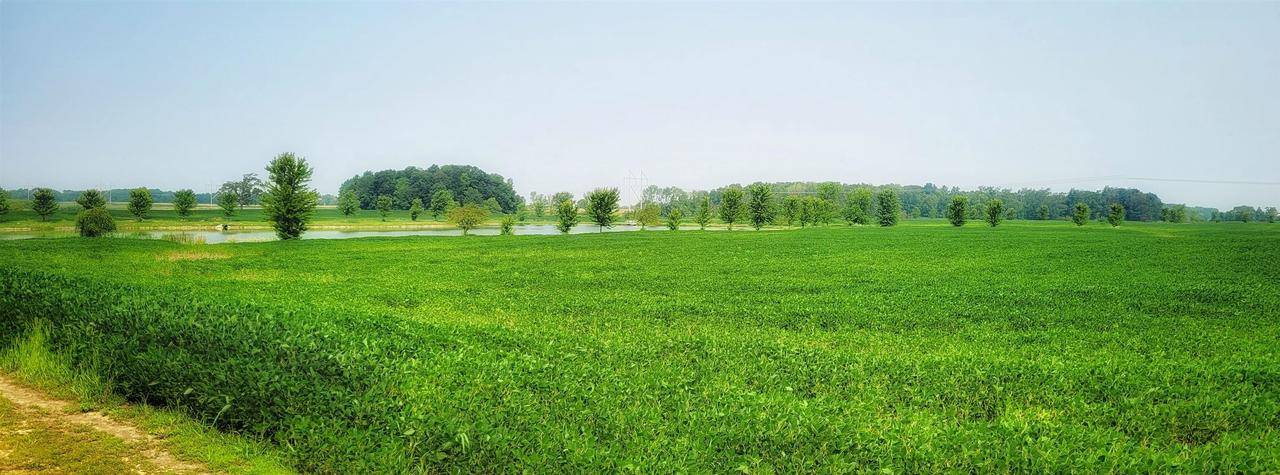 De Pere, WI 54115,1458 ROCKLAND HEIGHTS ROAD