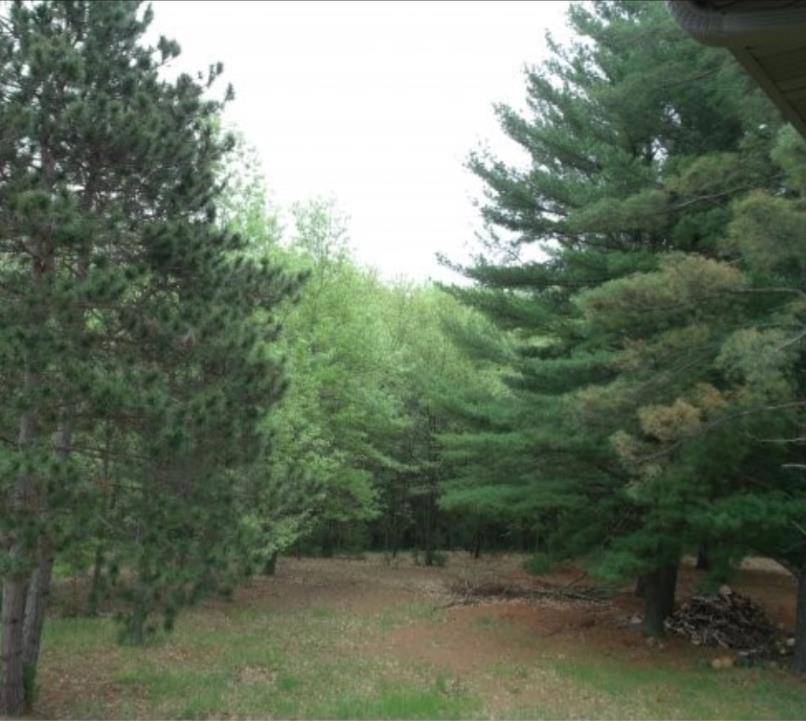 Weyauwega, WI 54883,N2719 ONA PINES ROAD