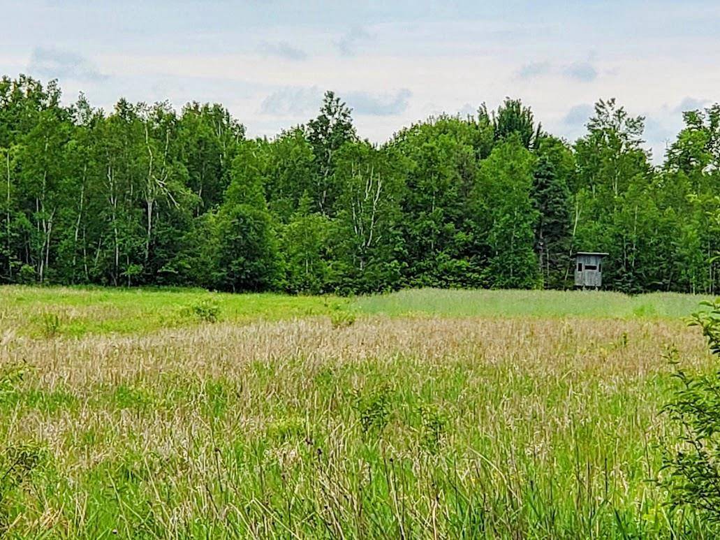 Deerbrook, WI 54424,RANGELINE ROAD