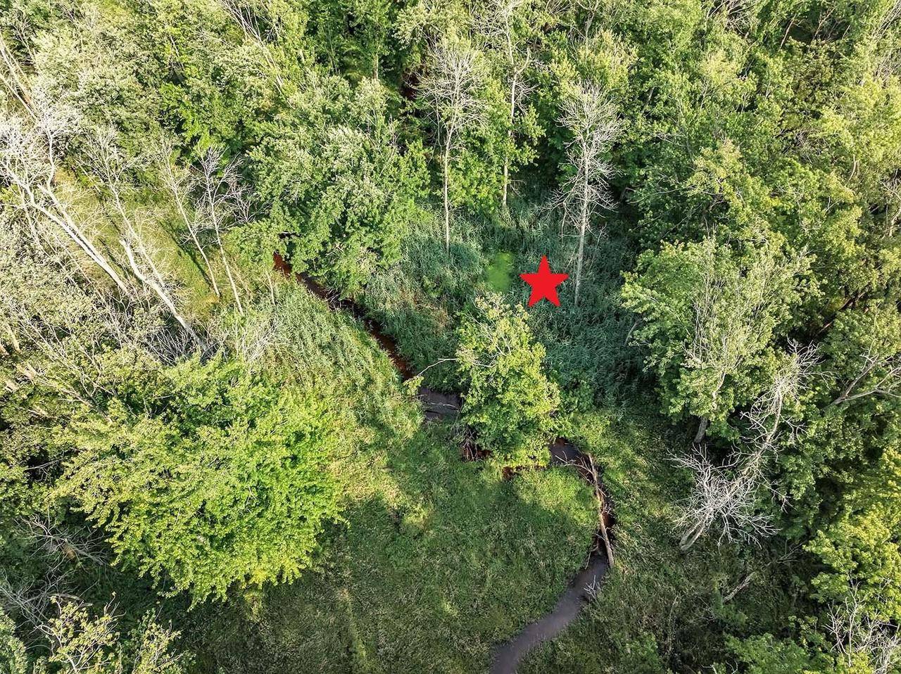 Algoma, WI 54201,WILSON ROAD