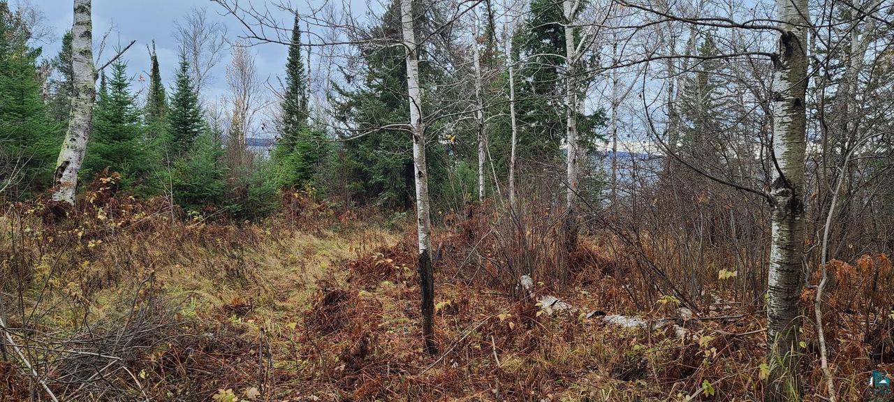 La Pointe, WI 54850,2572 North Shore Rd