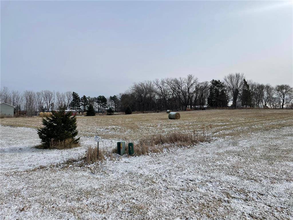 Hammond, WI 54015,1693 113th Avenue