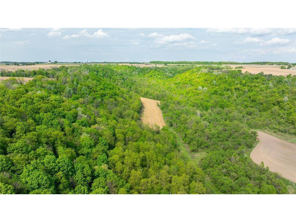 Plum City, WI 54761,0 145th Avenue