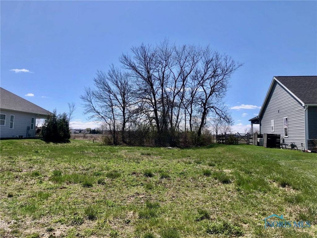 Whitehouse, OH 43571,11159 Whitetail WAY