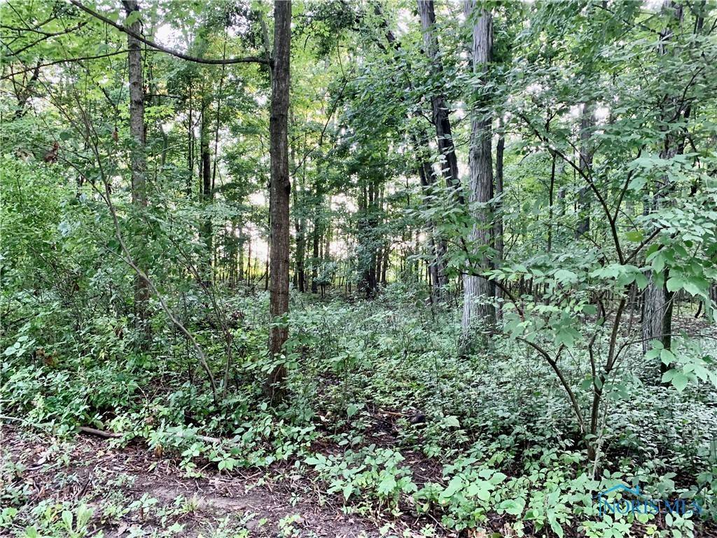 Bryan, OH 43506,00 Troon CT