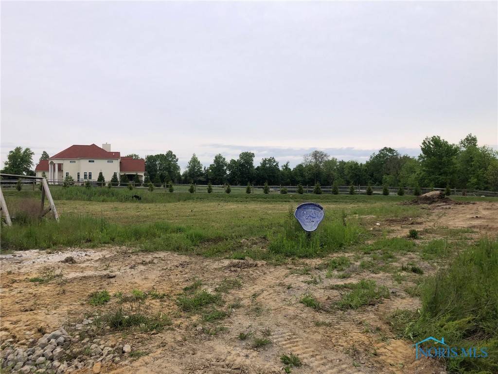 Monclova, OH 43542,5528 Olive Tree LN