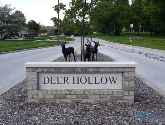 Bowling Green, OH 43402,1000 Deer Ridge Run