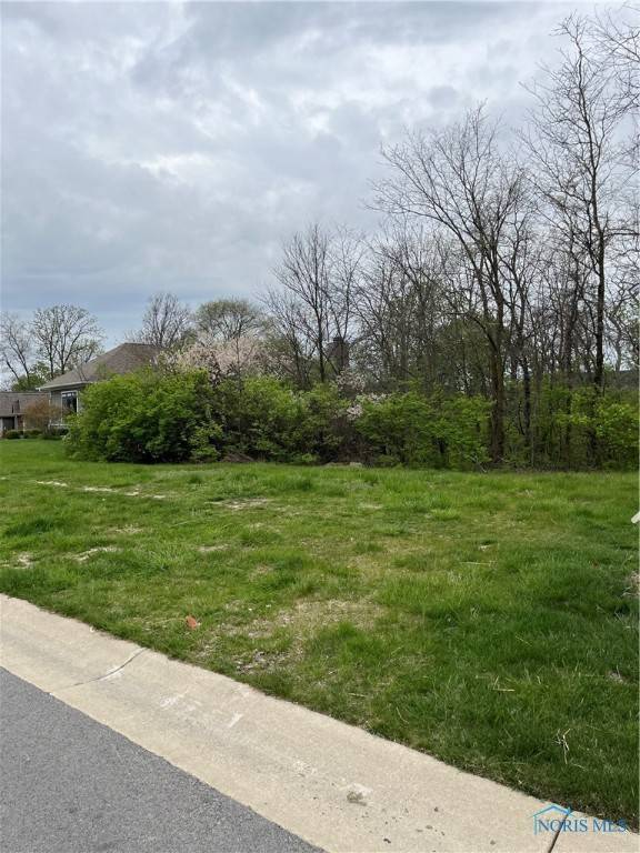 Perrysburg, OH 43551,15672 River View PL