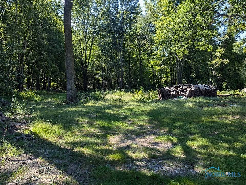 Swanton, OH 43558,10605 Old State Line RD