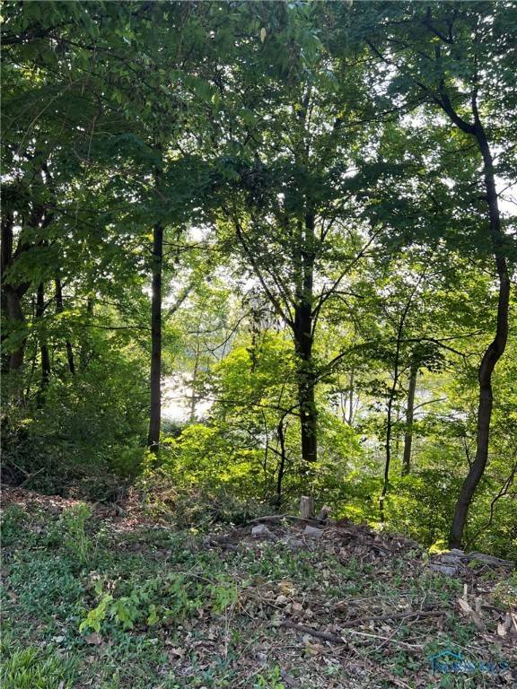 Perrysburg, OH 43551,0 E River RD