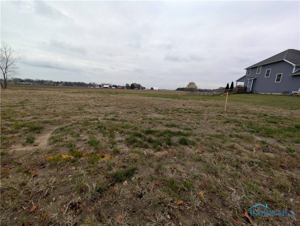 Whitehouse, OH 43571,0 Lot 30 Savannah Lake BLVD