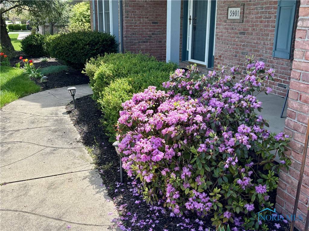 Sylvania, OH 43560,5901 E Cobblestones LN