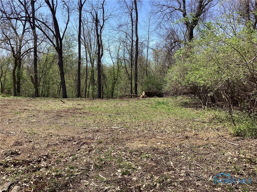Sylvania, OH 43560,7909 Brint RD
