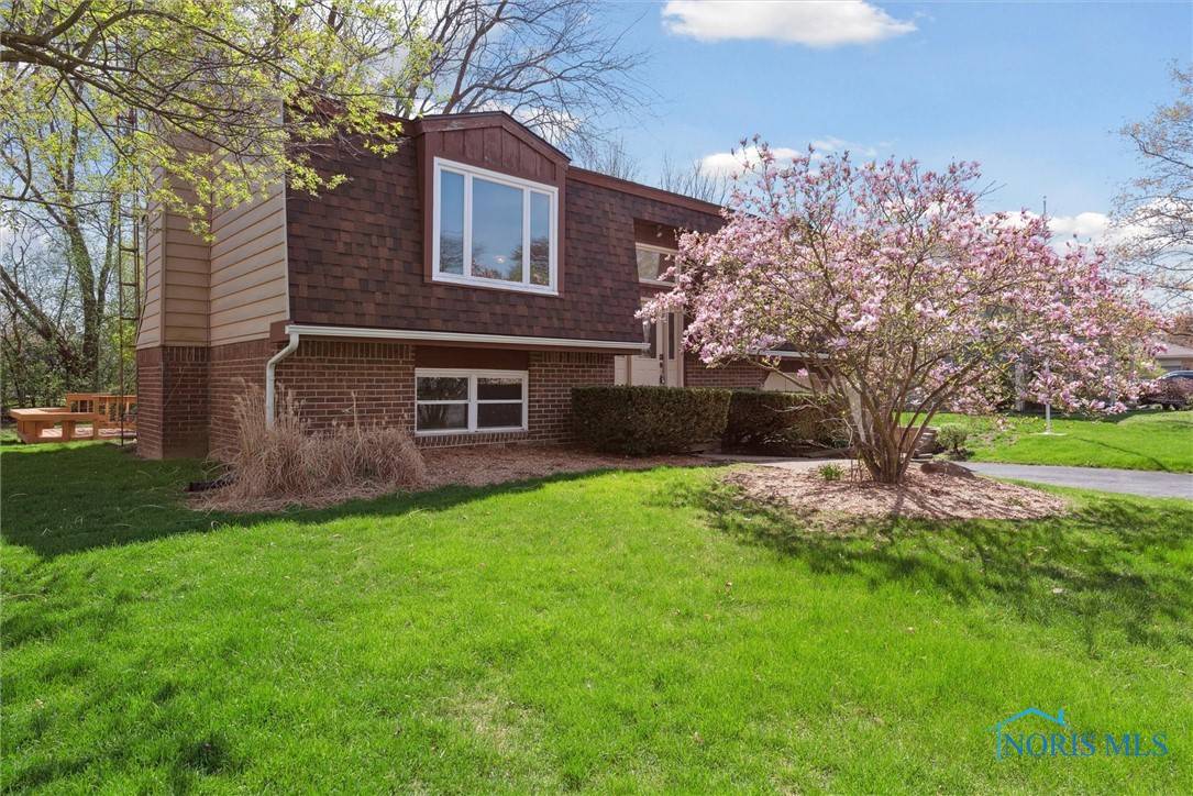 Sylvania, OH 43560,7803 Therfield DR