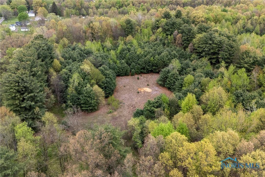 Swanton, OH 43558,5646 County Road 1 2