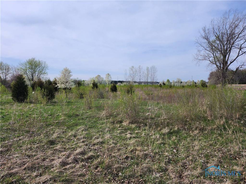 Whitehouse, OH 43571,11500 Stiles RD