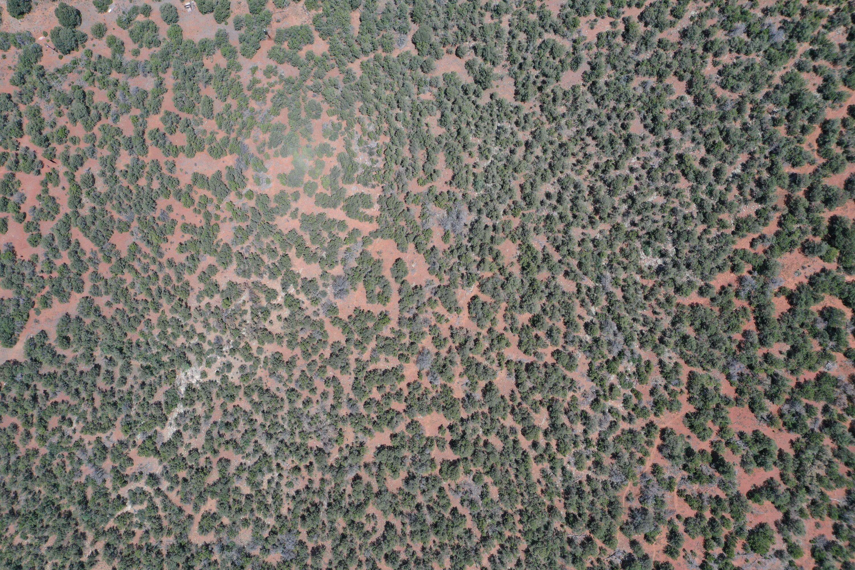 Tijeras, NM 87059,Five Acres Tijeras