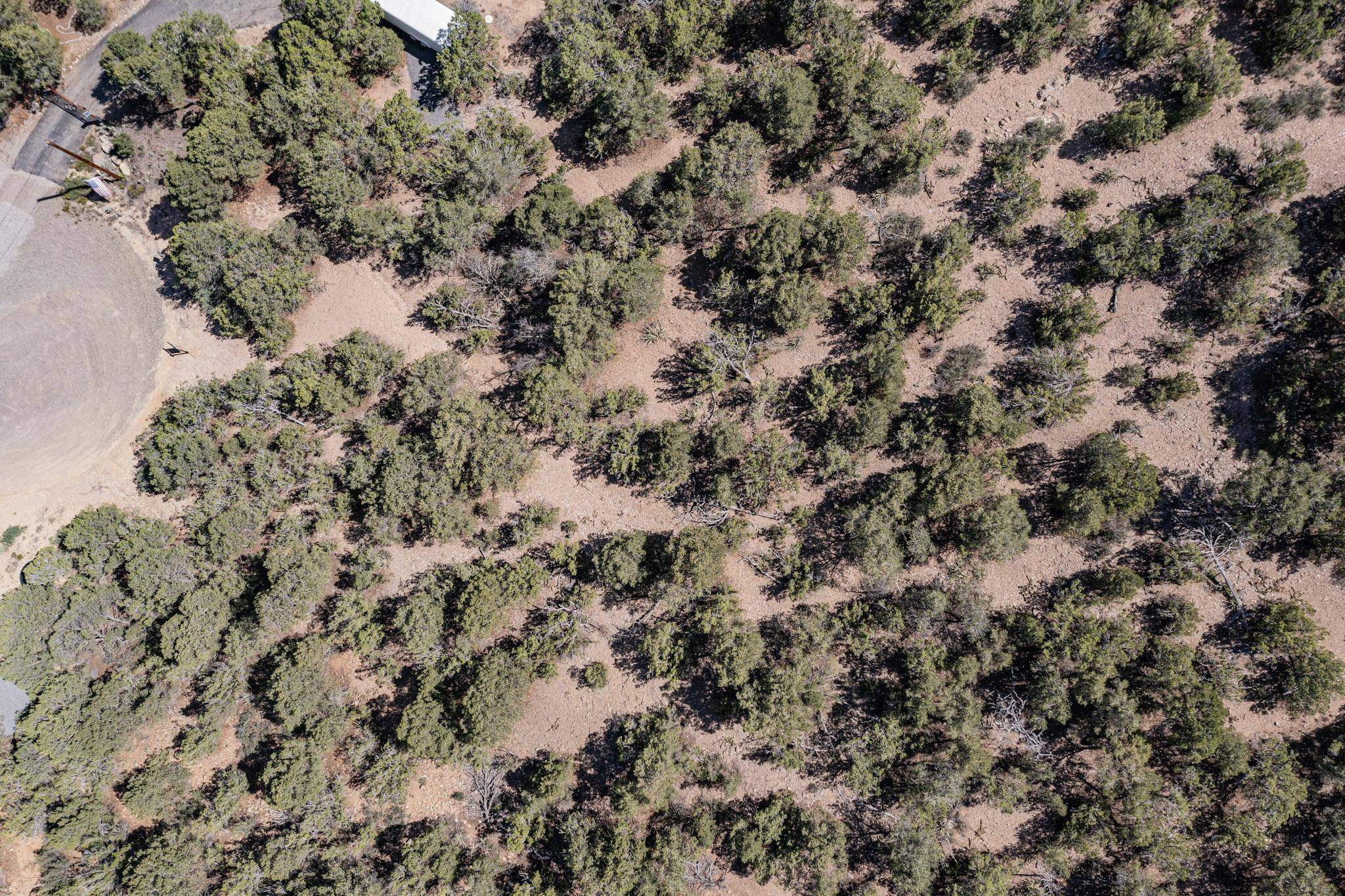 Tijeras, NM 87059,10 Miraverde