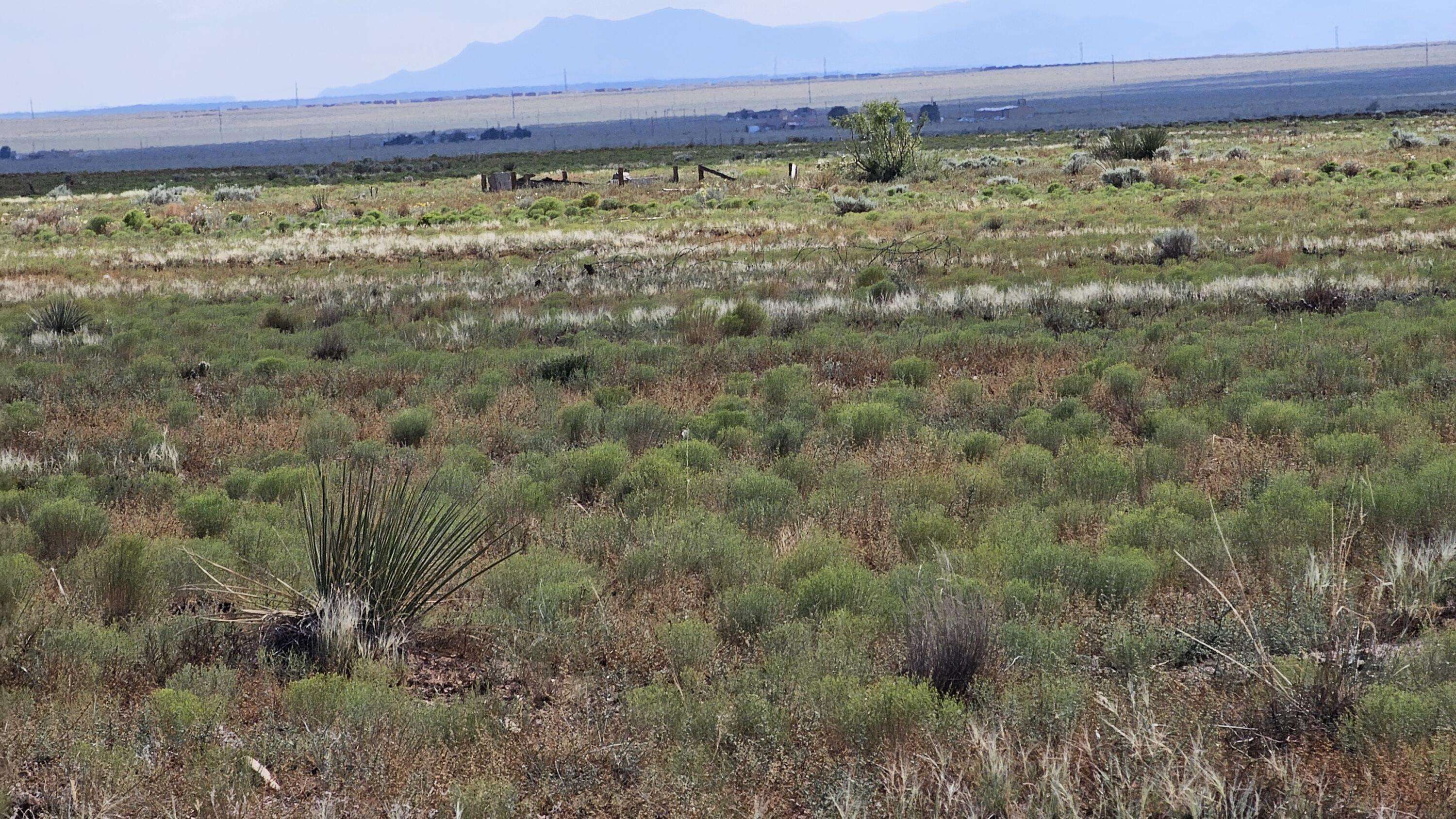 Belen, NM 87002,VL LOT: 42 BLOCK: 888 #F