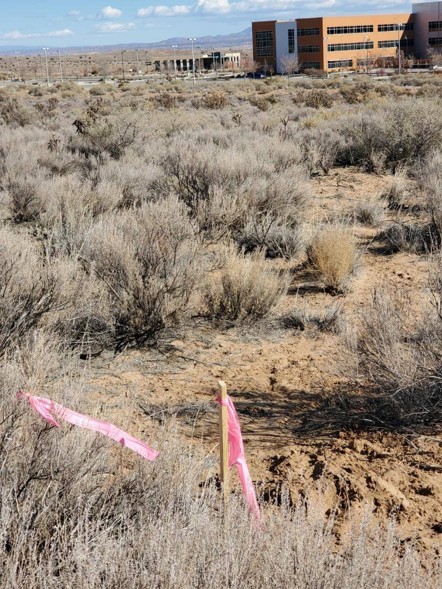 Rio Rancho, NM 87144,Address not disclosed