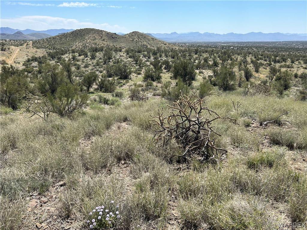 Kingman, AZ 86401,0000 Cedar Ridge
