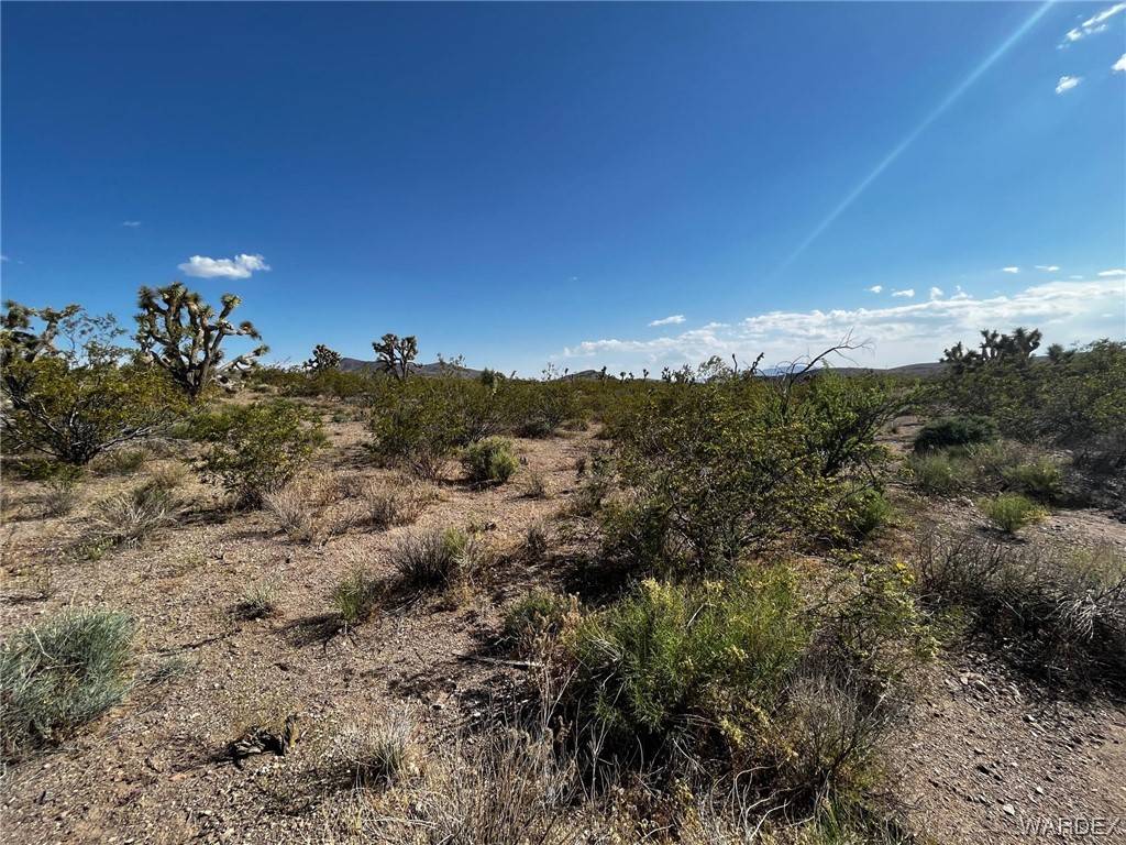 White Hills, AZ 86445,8900 W Vista Verde DR