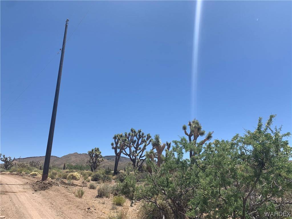 White Hills, AZ 86445,0000 W Inyo DR