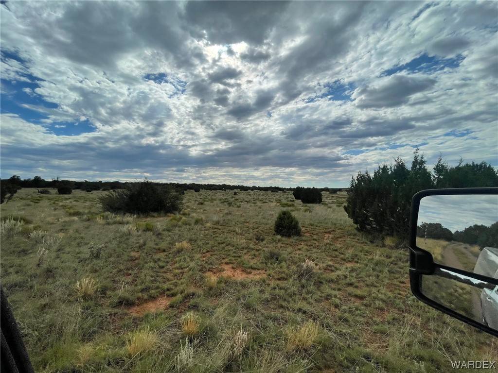 Seligman, AZ 86337,41665 W Antelope Run RD