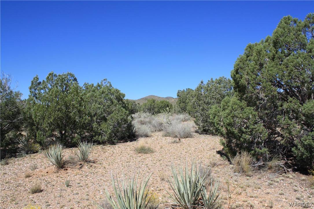Kingman, AZ 86401,000 Rodeo Drive