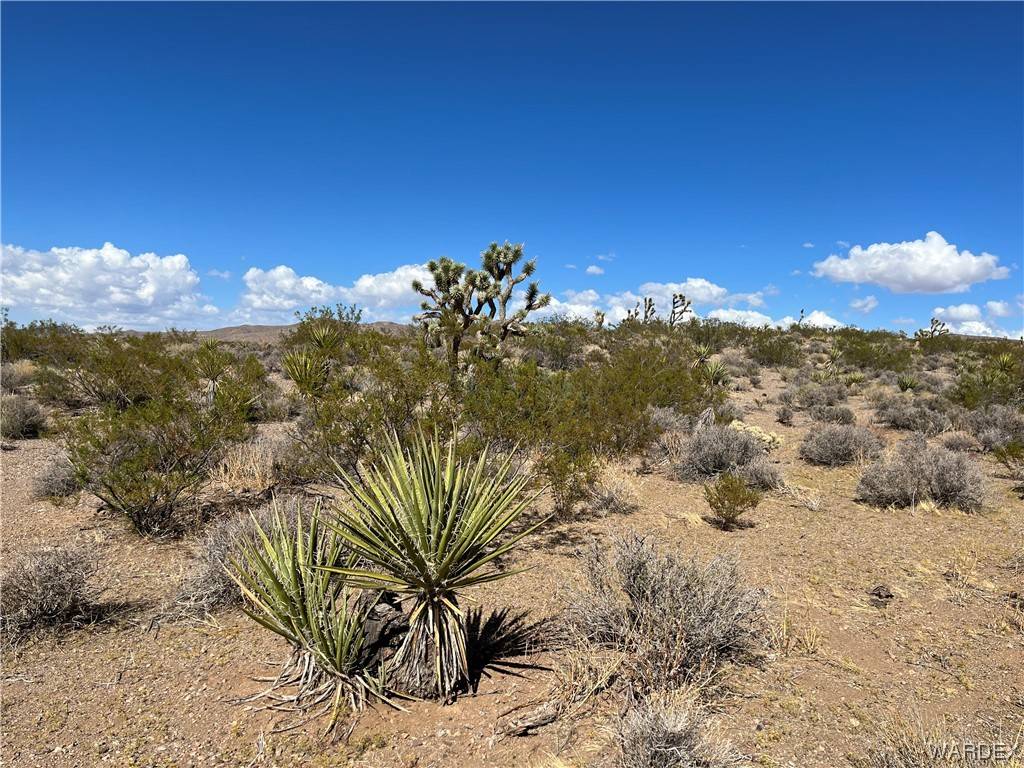 White Hills, AZ 86445,00 W Inyo DR