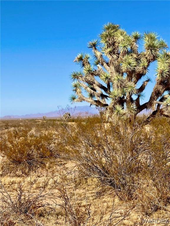 Yucca, AZ 86438,2027 S Roy Rogers RD