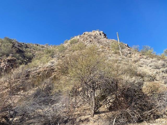 Wikieup, AZ 85360,10270008 Signal RD
