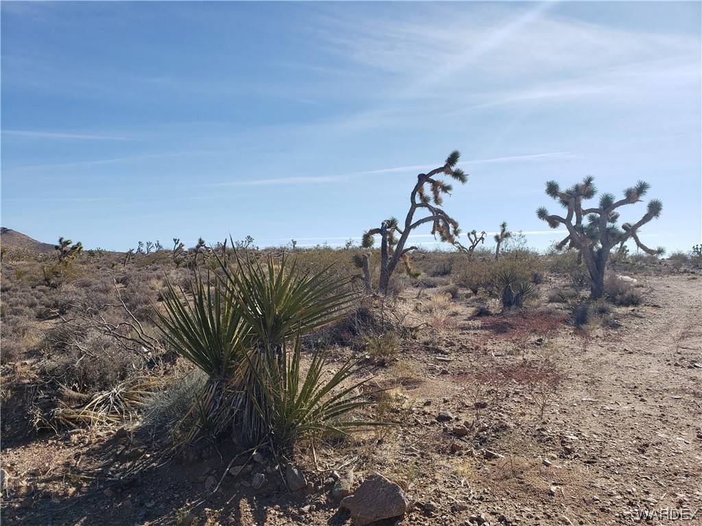 White Hills, AZ 86445,3 lots-8202 W Indian Peak DR