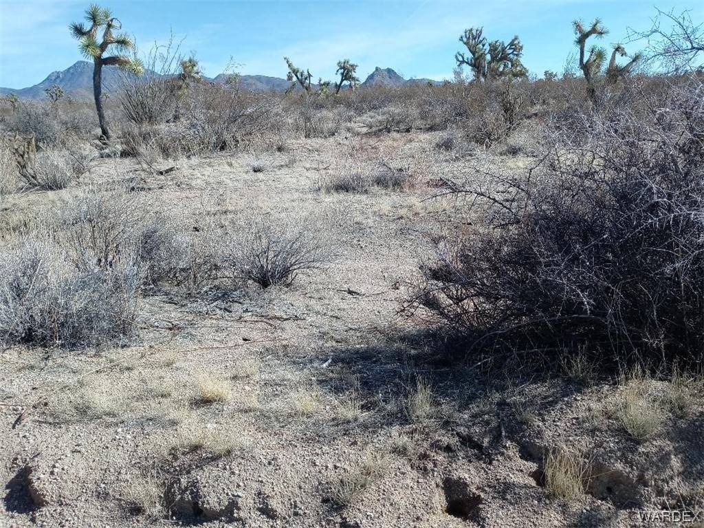Yucca, AZ 86438,Par 439 Tom Mix RD
