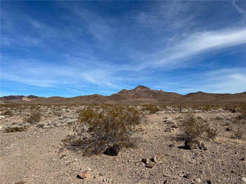 Dolan Springs, AZ 86441,0000 Canyon Dr